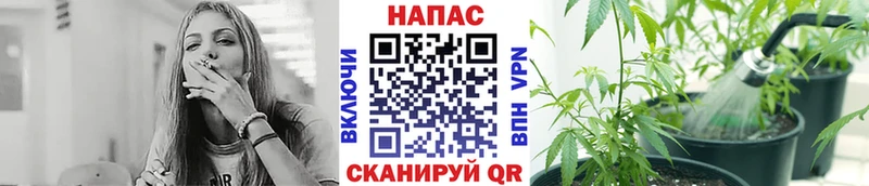 купить наркоту  Нефтеюганск  Бошки Шишки марихуана 